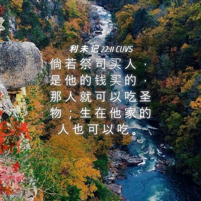 Picture 04 - 利 未 记 22:11 CUVS - 倘 若 祭 司 买 人 ， 是 他 的 钱 买 - Bible Verse Picture