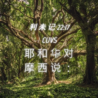Picture 04 - 利 未 记 22:17 CUVS - 耶 和 华 对 摩 西 说 - Bible Verse Picture