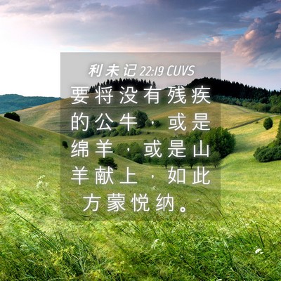 Picture 04 - 利 未 记 22:19 CUVS - 要 将 没 有 残 疾 的 公 牛 ， 或 是 - Bible Verse Picture