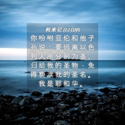 Picture 04 - 利 未 记 22:2 CUVS - 你 吩 咐 亚 伦 和 他 子 孙 说 ： 要 - Bible Verse Picture