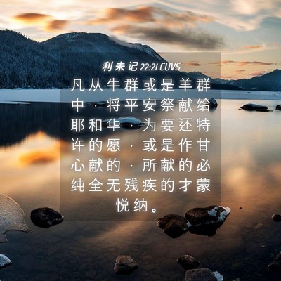 Picture 04 - 利 未 记 22:21 CUVS - 凡 从 牛 群 或 是 羊 群 中 ， 将 平 - Bible Verse Picture