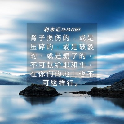 Picture 04 - 利 未 记 22:24 CUVS - 肾 子 损 伤 的 ， 或 是 压 碎 的 ， - Bible Verse Picture
