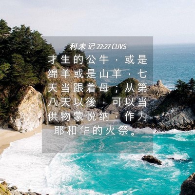 Picture 04 - 利 未 记 22:27 CUVS - 才 生 的 公 牛 ， 或 是 绵 羊 或 是 - Bible Verse Picture