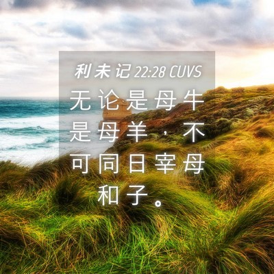 Picture 04 - 利 未 记 22:28 CUVS - 无 论 是 母 牛 是 母 羊 ， 不 可 同 - Bible Verse Picture