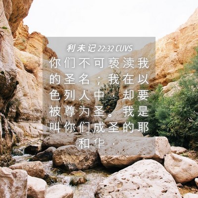 Picture 04 - 利 未 记 22:32 CUVS - 你 们 不 可 亵 渎 我 的 圣 名 ； 我 - Bible Verse Picture