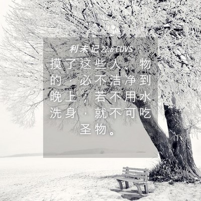 Picture 04 - 利 未 记 22:6 CUVS - 摸 了 这 些 人 、 物 的 ， 必 不 洁 - Bible Verse Picture