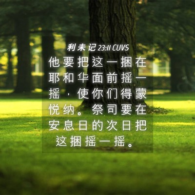 Picture 04 - 利 未 记 23:11 CUVS - 他 要 把 这 一 捆 在 耶 和 华 面 前 - Bible Verse Picture