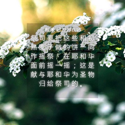 Picture 04 - 利 未 记 23:20 CUVS - 祭 司 要 把 这 些 和 初 熟 麦 子 做 - Bible Verse Picture