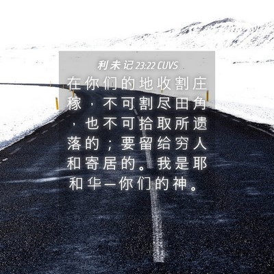 Picture 04 - 利 未 记 23:22 CUVS - 在 你 们 的 地 收 割 庄 稼 ， 不 可 - Bible Verse Picture