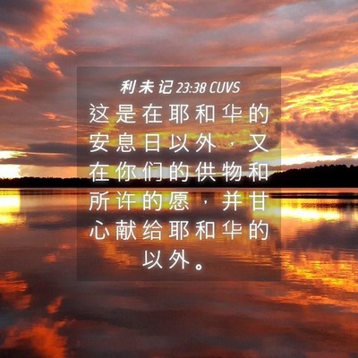 Picture 04 - 利 未 记 23:38 CUVS - 这 是 在 耶 和 华 的 安 息 日 以 外 - Bible Verse Picture