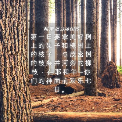 Picture 04 - 利 未 记 23:40 CUVS - 第 一 日 要 拿 美 好 树 上 的 果 子 - Bible Verse Picture