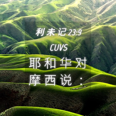 Picture 04 - 利 未 记 23:9 CUVS - 耶 和 华 对 摩 西 说 - Bible Verse Picture