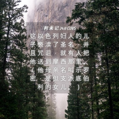 Picture 04 - 利 未 记 24:11 CUVS - 这 以 色 列 妇 人 的 儿 子 亵 渎 了 - Bible Verse Picture