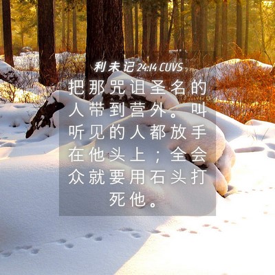 Picture 04 - 利 未 记 24:14 CUVS - 把 那 咒 诅 圣 名 的 人 带 到 营 外 - Bible Verse Picture