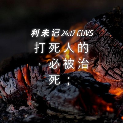 Picture 04 - 利 未 记 24:17 CUVS - 打 死 人 的 ， 必 被 治 死 - Bible Verse Picture