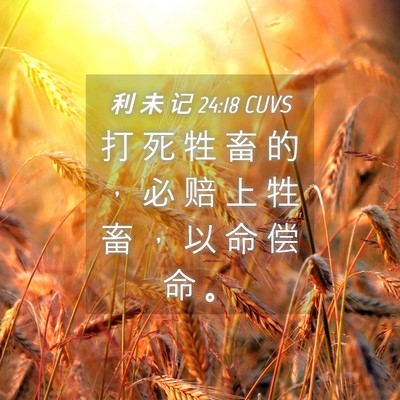 Picture 04 - 利 未 记 24:18 CUVS - 打 死 牲 畜 的 ， 必 赔 上 牲 畜 ， - Bible Verse Picture
