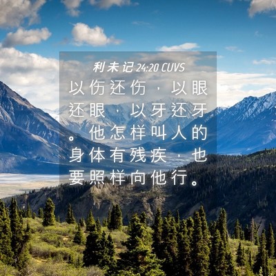 Picture 04 - 利 未 记 24:20 CUVS - 以 伤 还 伤 ， 以 眼 还 眼 ， 以 牙 - Bible Verse Picture