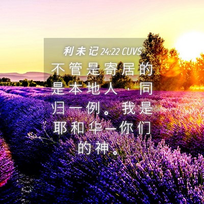 Picture 04 - 利 未 记 24:22 CUVS - 不 管 是 寄 居 的 是 本 地 人 ， 同 - Bible Verse Picture