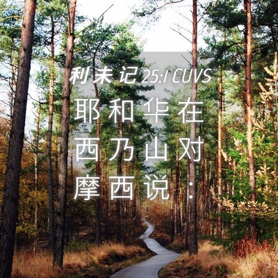 Picture 04 - 利 未 记 25:1 CUVS - 耶 和 华 在 西 乃 山 对 摩 西 说 - Bible Verse Picture
