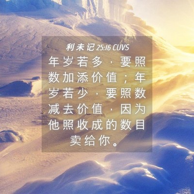 Picture 04 - 利 未 记 25:16 CUVS - 年 岁 若 多 ， 要 照 数 加 添 价 值 - Bible Verse Picture