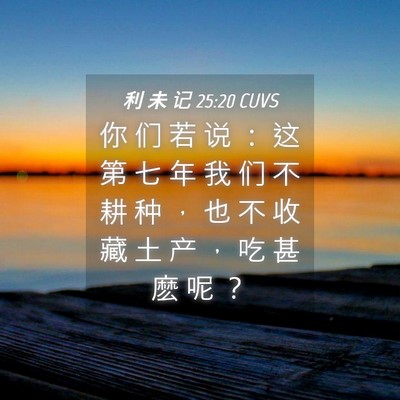 Picture 04 - 利 未 记 25:20 CUVS - 你 们 若 说 ： 这 第 七 年 我 们 不 - Bible Verse Picture