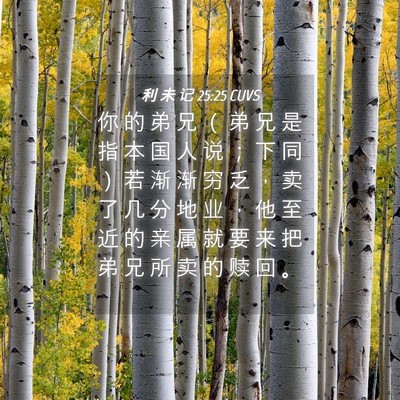 Picture 04 - 利 未 记 25:25 CUVS - 你 的 弟 兄 （ 弟 兄 是 指 本 国 人 - Bible Verse Picture