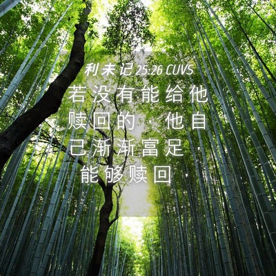 Picture 04 - 利 未 记 25:26 CUVS - 若 没 有 能 给 他 赎 回 的 ， 他 自 - Bible Verse Picture