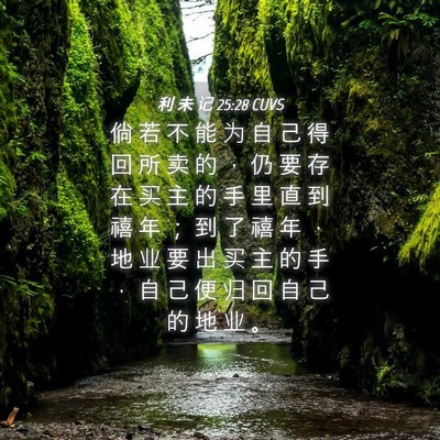 Picture 04 - 利 未 记 25:28 CUVS - 倘 若 不 能 为 自 己 得 回 所 卖 的 - Bible Verse Picture