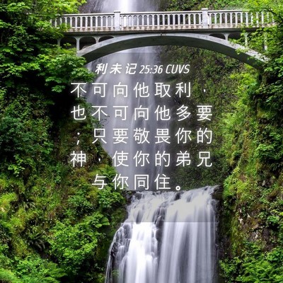 Picture 04 - 利 未 记 25:36 CUVS - 不 可 向 他 取 利 ， 也 不 可 向 他 - Bible Verse Picture