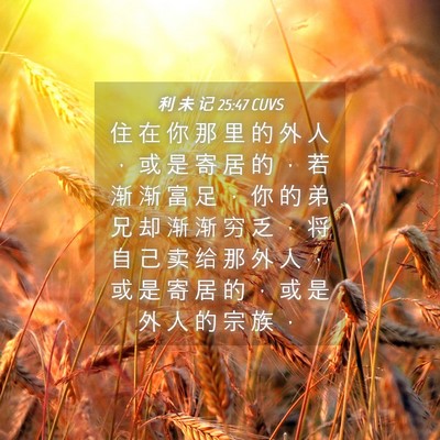 Picture 04 - 利 未 记 25:47 CUVS - 住 在 你 那 里 的 外 人 ， 或 是 寄 - Bible Verse Picture