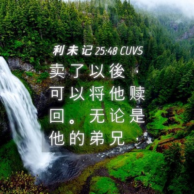 Picture 04 - 利 未 记 25:48 CUVS - 卖 了 以 後 ， 可 以 将 他 赎 回 。 - Bible Verse Picture
