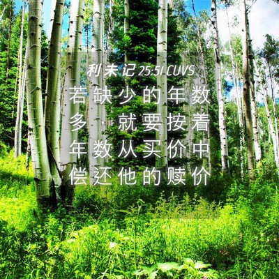 Picture 04 - 利 未 记 25:51 CUVS - 若 缺 少 的 年 数 多 ， 就 要 按 着 - Bible Verse Picture