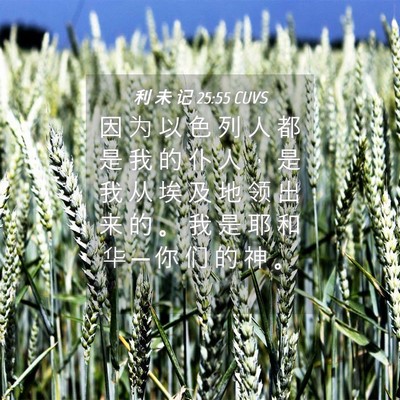 Picture 04 - 利 未 记 25:55 CUVS - 因 为 以 色 列 人 都 是 我 的 仆 人 - Bible Verse Picture