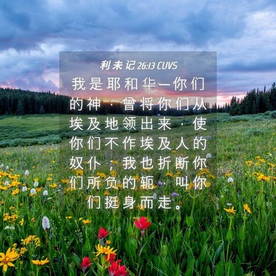 Picture 04 - 利 未 记 26:13 CUVS - 我 是 耶 和 华 ─ 你 们 的 神 ， 曾 - Bible Verse Picture