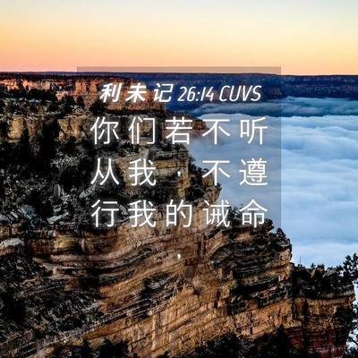 Picture 04 - 利 未 记 26:14 CUVS - 你 们 若 不 听 从 我 ， 不 遵 行 我 - Bible Verse Picture