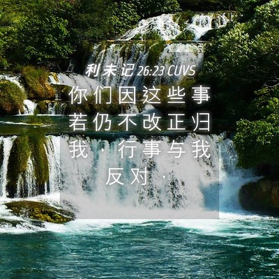 Picture 04 - 利 未 记 26:23 CUVS - 你 们 因 这 些 事 若 仍 不 改 正 归 - Bible Verse Picture