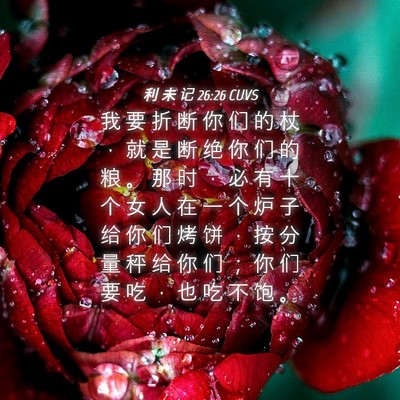 Picture 04 - 利 未 记 26:26 CUVS - 我 要 折 断 你 们 的 杖 ， 就 是 断 - Bible Verse Picture