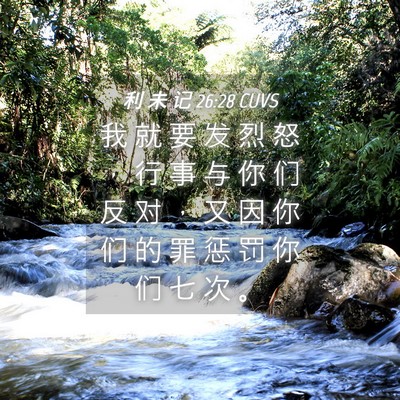 Picture 04 - 利 未 记 26:28 CUVS - 我 就 要 发 烈 怒 ， 行 事 与 你 们 - Bible Verse Picture