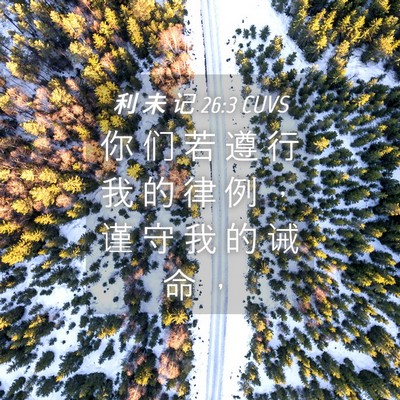 Picture 04 - 利 未 记 26:3 CUVS - 你 们 若 遵 行 我 的 律 例 ， 谨 守 - Bible Verse Picture