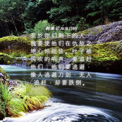 Picture 04 - 利 未 记 26:36 CUVS - 至 於 你 们 剩 下 的 人 ， 我 要 使 - Bible Verse Picture