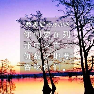 Picture 04 - 利 未 记 26:38 CUVS - 你 们 要 在 列 邦 中 灭 亡 ； 仇 敌 - Bible Verse Picture