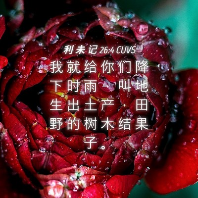 Picture 04 - 利 未 记 26:4 CUVS - 我 就 给 你 们 降 下 时 雨 ， 叫 地 - Bible Verse Picture