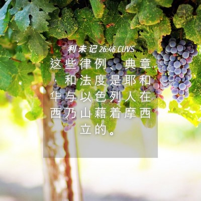 Picture 04 - 利 未 记 26:46 CUVS - 这 些 律 例 、 典 章 ， 和 法 度 是 - Bible Verse Picture