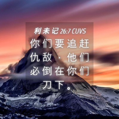 Picture 04 - 利 未 记 26:7 CUVS - 你 们 要 追 赶 仇 敌 ， 他 们 必 倒 - Bible Verse Picture