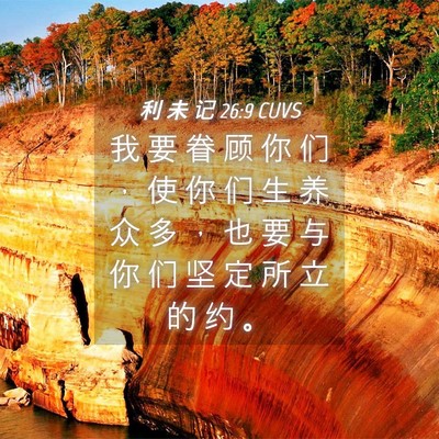 Picture 04 - 利 未 记 26:9 CUVS - 我 要 眷 顾 你 们 ， 使 你 们 生 养 - Bible Verse Picture