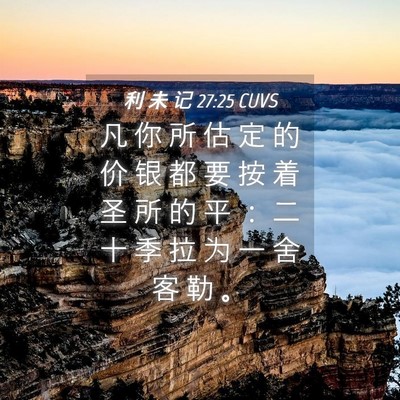 Picture 04 - 利 未 记 27:25 CUVS - 凡 你 所 估 定 的 价 银 都 要 按 着 - Bible Verse Picture