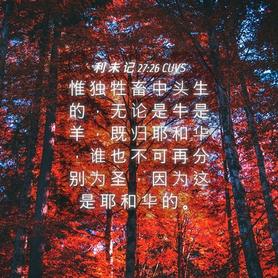 Picture 04 - 利 未 记 27:26 CUVS - 惟 独 牲 畜 中 头 生 的 ， 无 论 是 - Bible Verse Picture