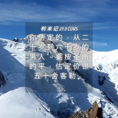 Picture 04 - 利 未 记 27:3 CUVS - 你 估 定 的 ， 从 二 十 岁 到 六 十 - Bible Verse Picture