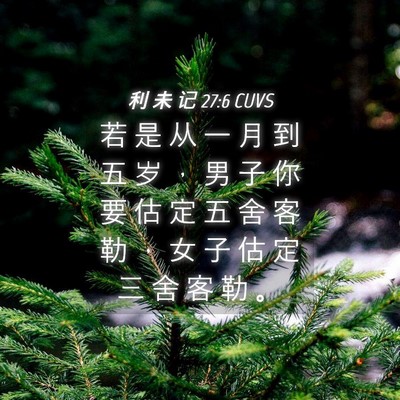 Picture 04 - 利 未 记 27:6 CUVS - 若 是 从 一 月 到 五 岁 ， 男 子 你 - Bible Verse Picture