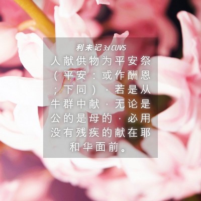 Picture 04 - 利 未 记 3:1 CUVS - 人 献 供 物 为 平 安 祭 （ 平 安 ： - Bible Verse Picture